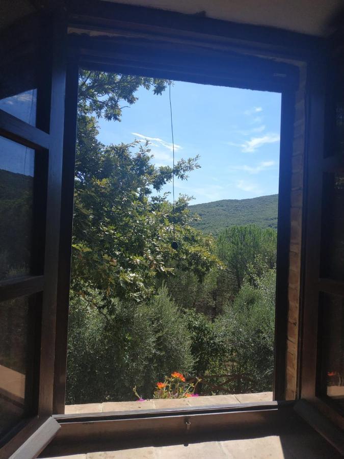 Agriturismo La Provenca Chianciano Terme Exteriér fotografie