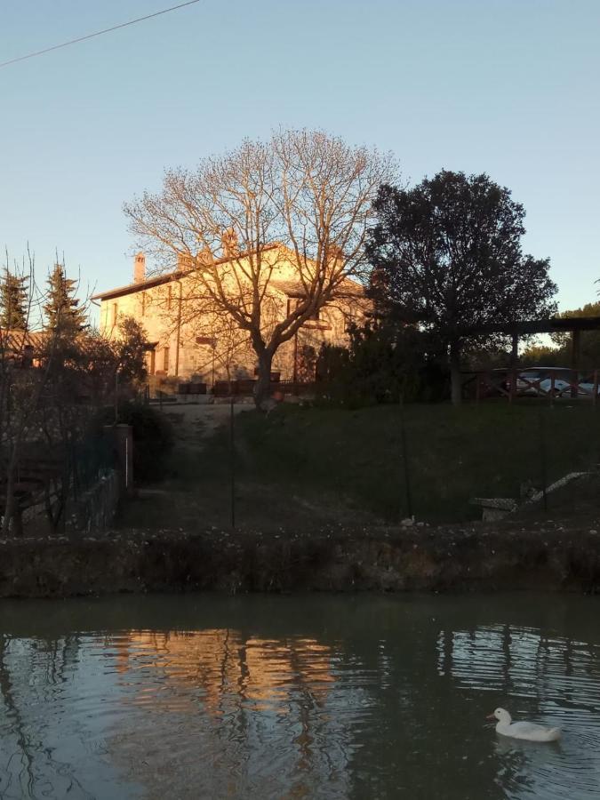 Agriturismo La Provenca Chianciano Terme Exteriér fotografie