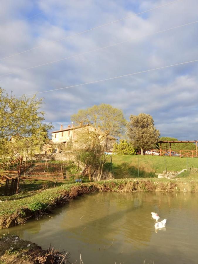 Agriturismo La Provenca Chianciano Terme Exteriér fotografie