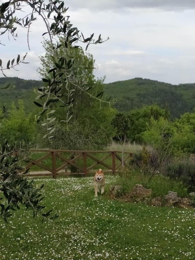 Agriturismo La Provenca Chianciano Terme Exteriér fotografie