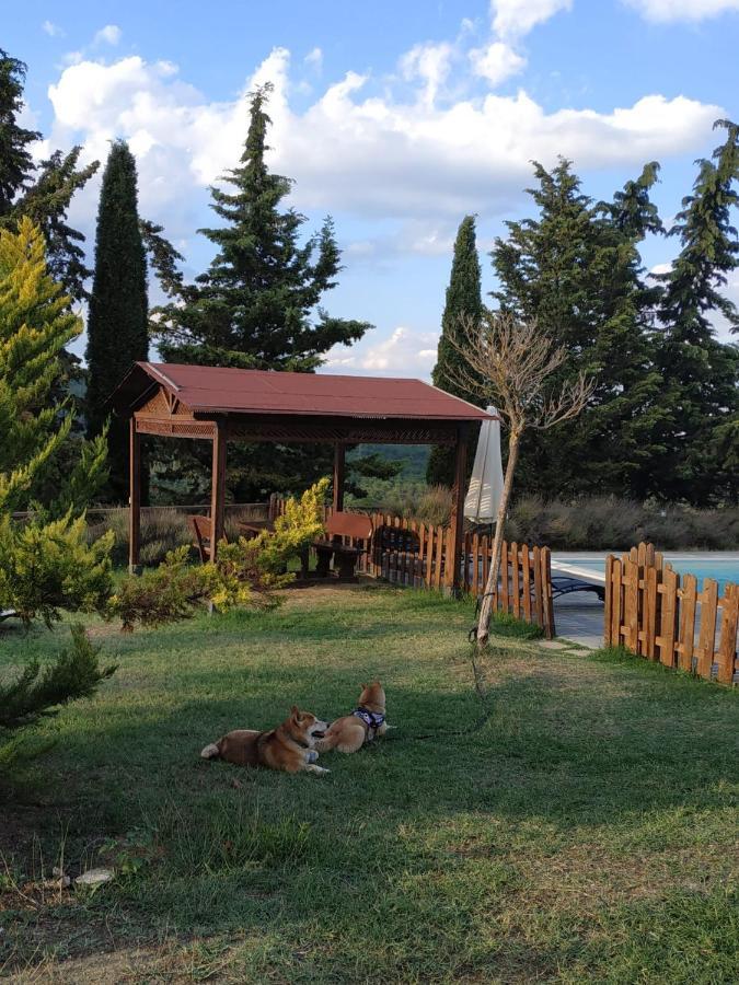 Agriturismo La Provenca Chianciano Terme Exteriér fotografie