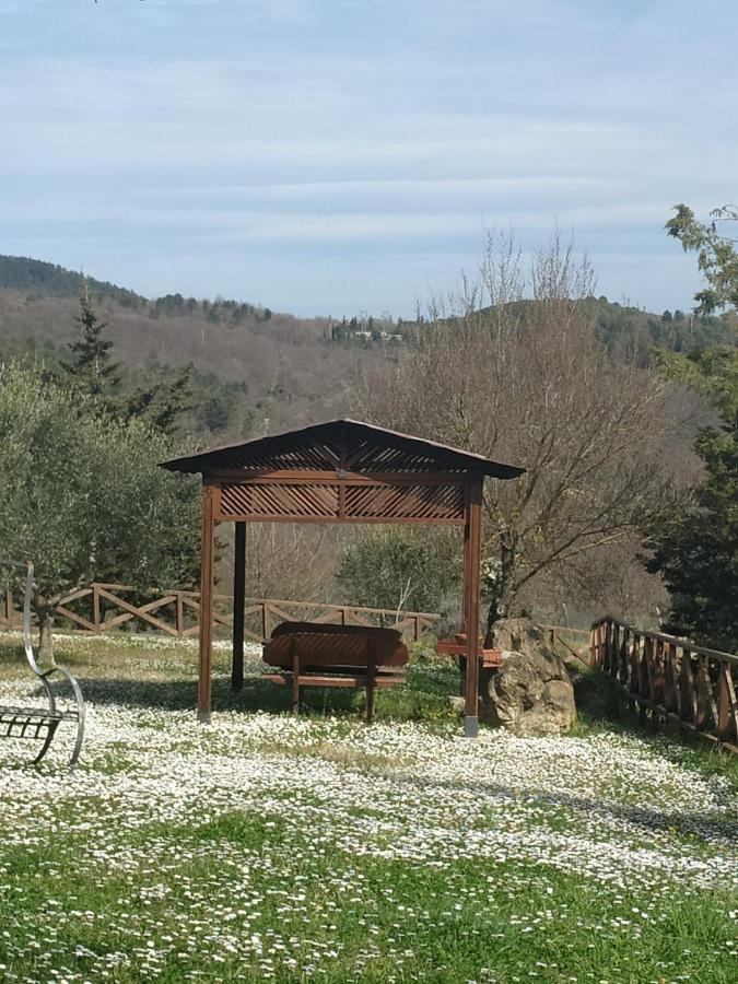 Agriturismo La Provenca Chianciano Terme Exteriér fotografie