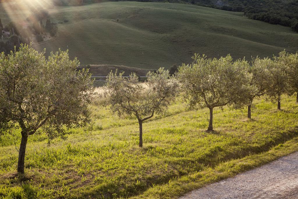 Agriturismo La Provenca Chianciano Terme Exteriér fotografie